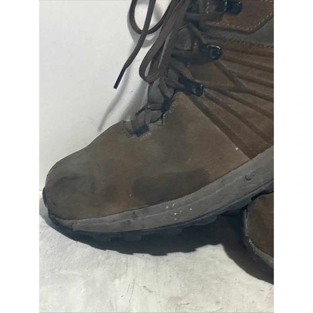 Irish Setter Cascade 5